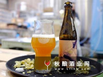 德国教士啤酒怎么样呢?德国啤酒排行榜