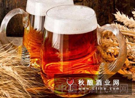 低醇啤酒比普通啤酒更好！