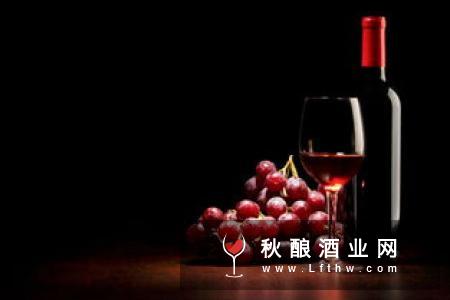白葡萄酒可以做什么菜