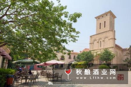 喝葡萄酒的社交礼仪