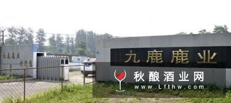 银杏保健酒对人体有什么好处 银杏酒的功效