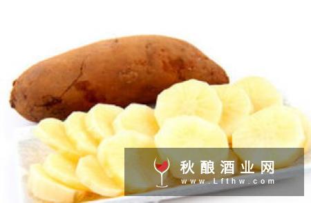 枇杷酒的自酿方法与营养功效