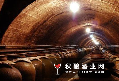 白酒行业分化加剧